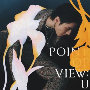 Point Of View : U