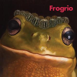 Frogrio 1st